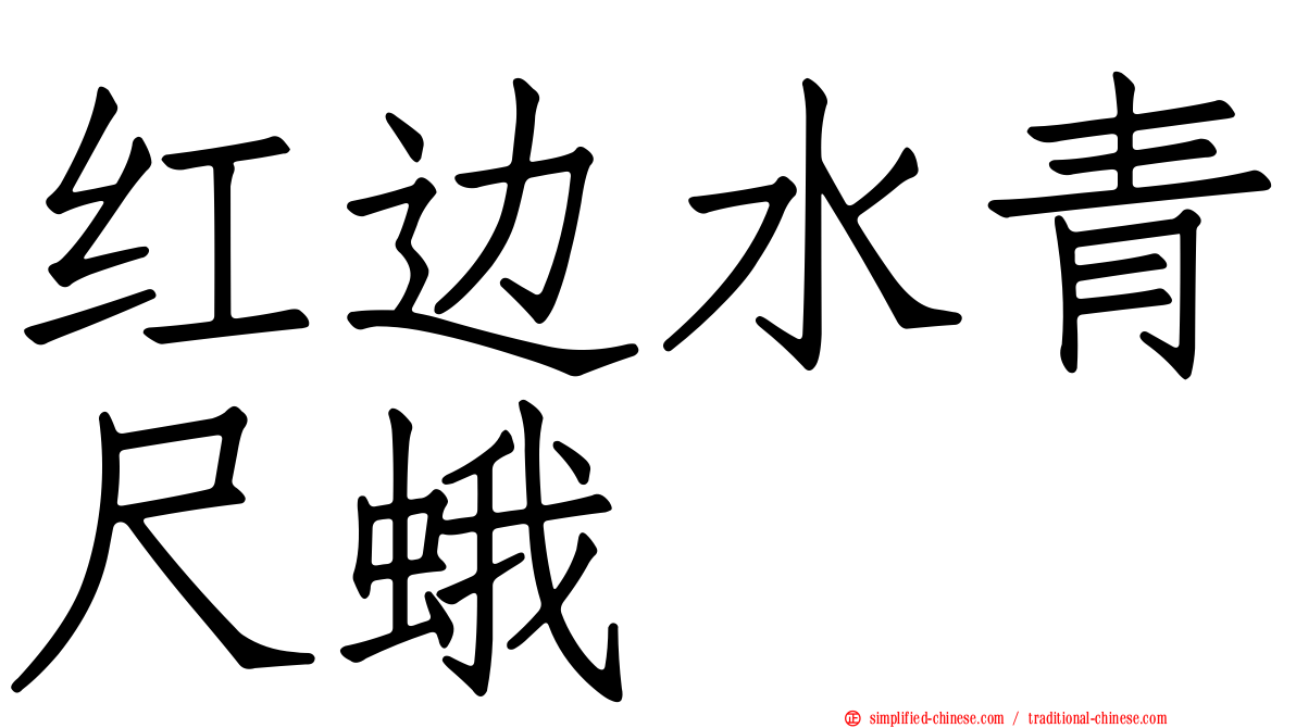 红边水青尺蛾