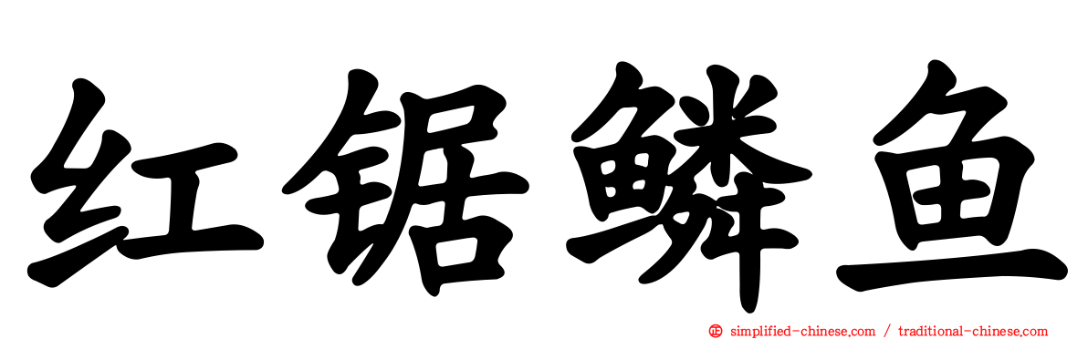 红锯鳞鱼