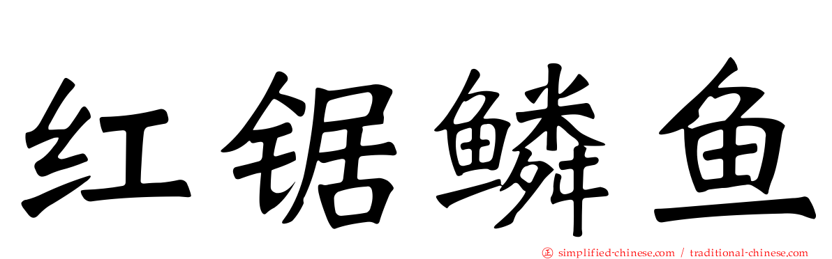 红锯鳞鱼