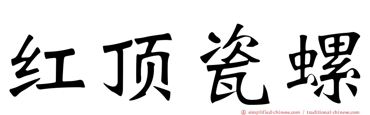 红顶瓷螺