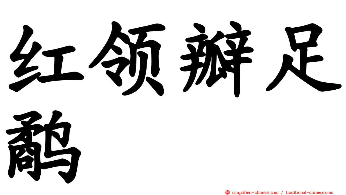 红领瓣足鹬