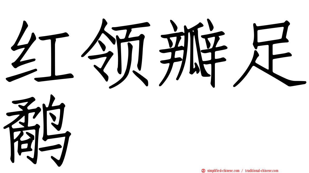 红领瓣足鹬