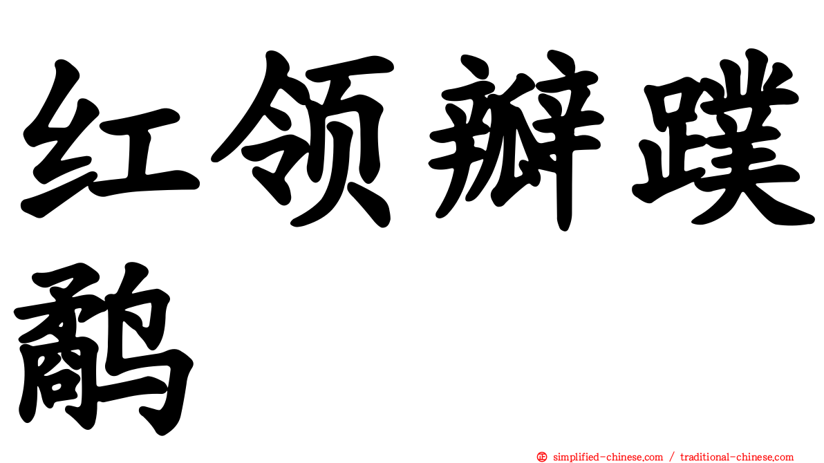 红领瓣蹼鹬