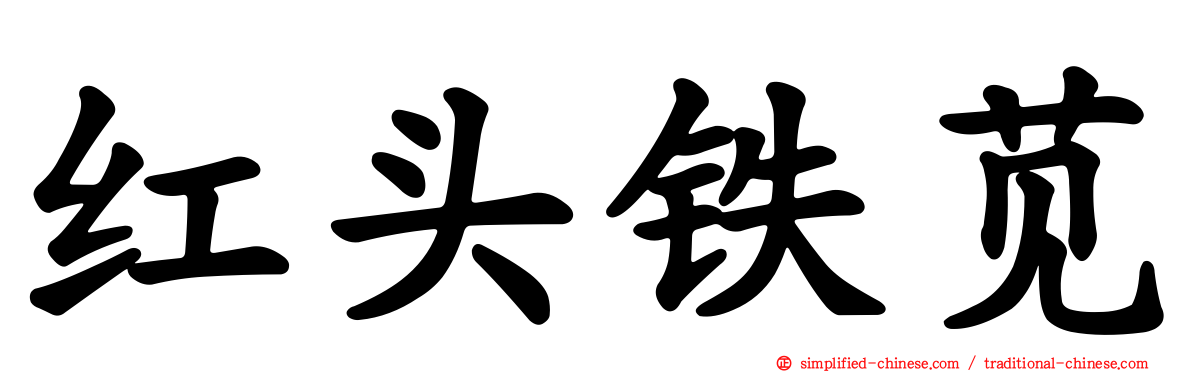 红头铁苋