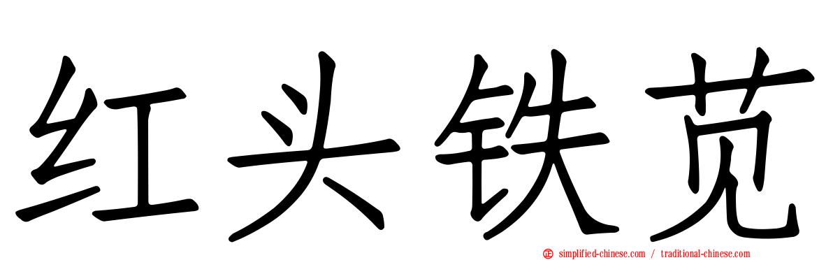 红头铁苋