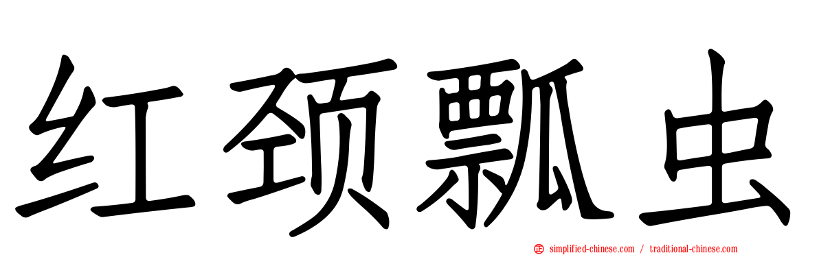 红颈瓢虫