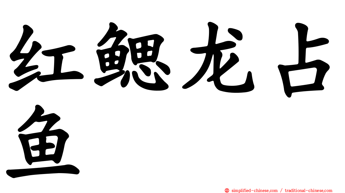 红鳃龙占鱼