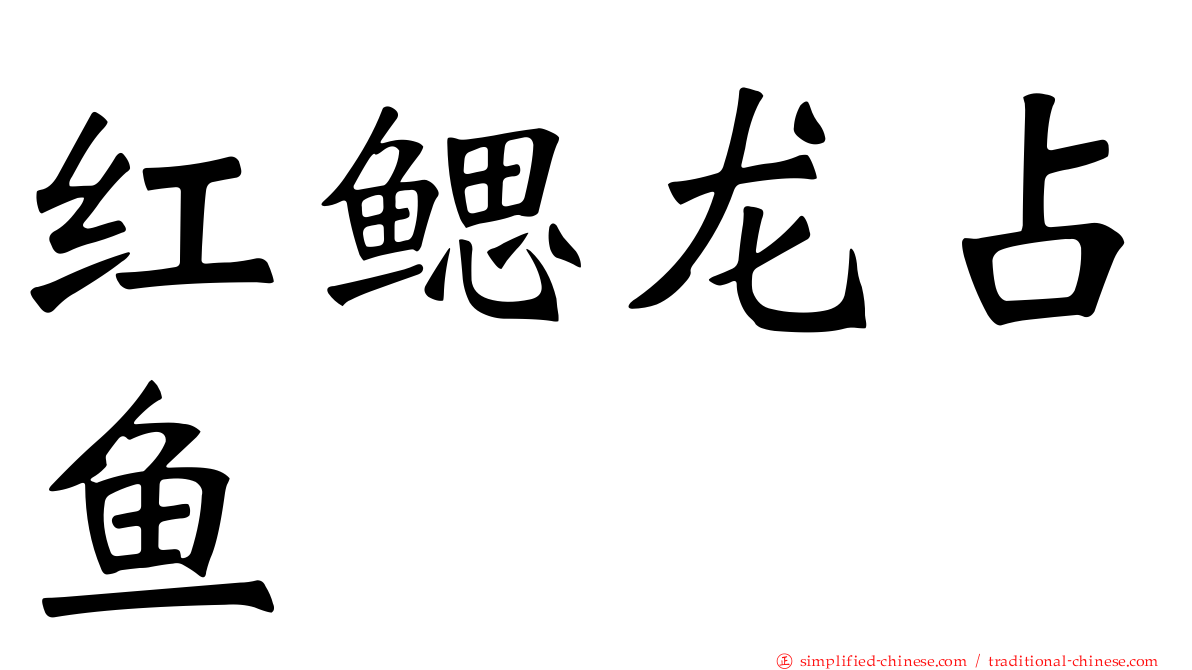 红鳃龙占鱼