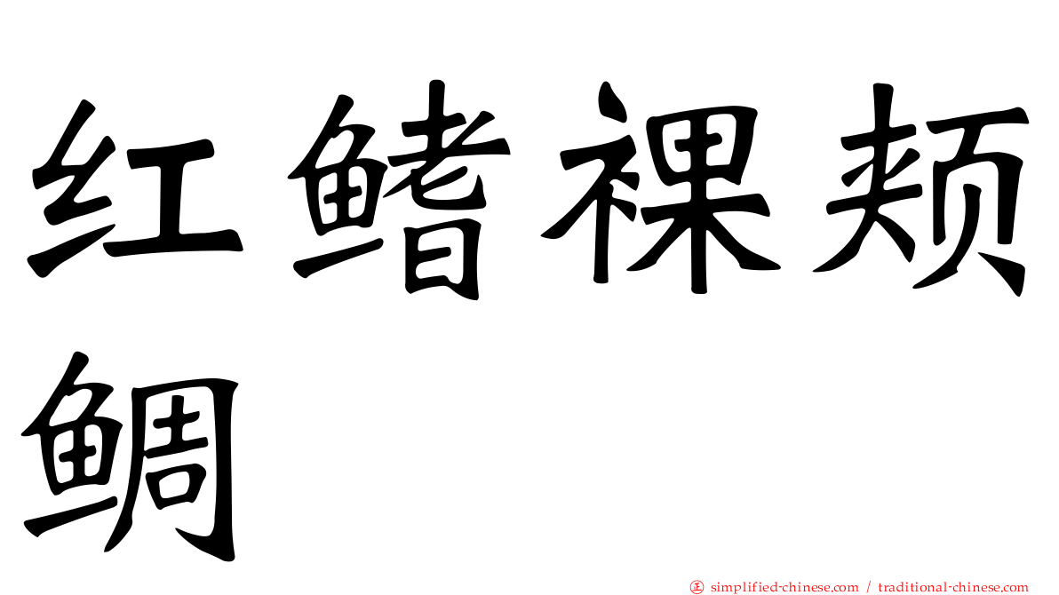 红鳍裸颊鲷