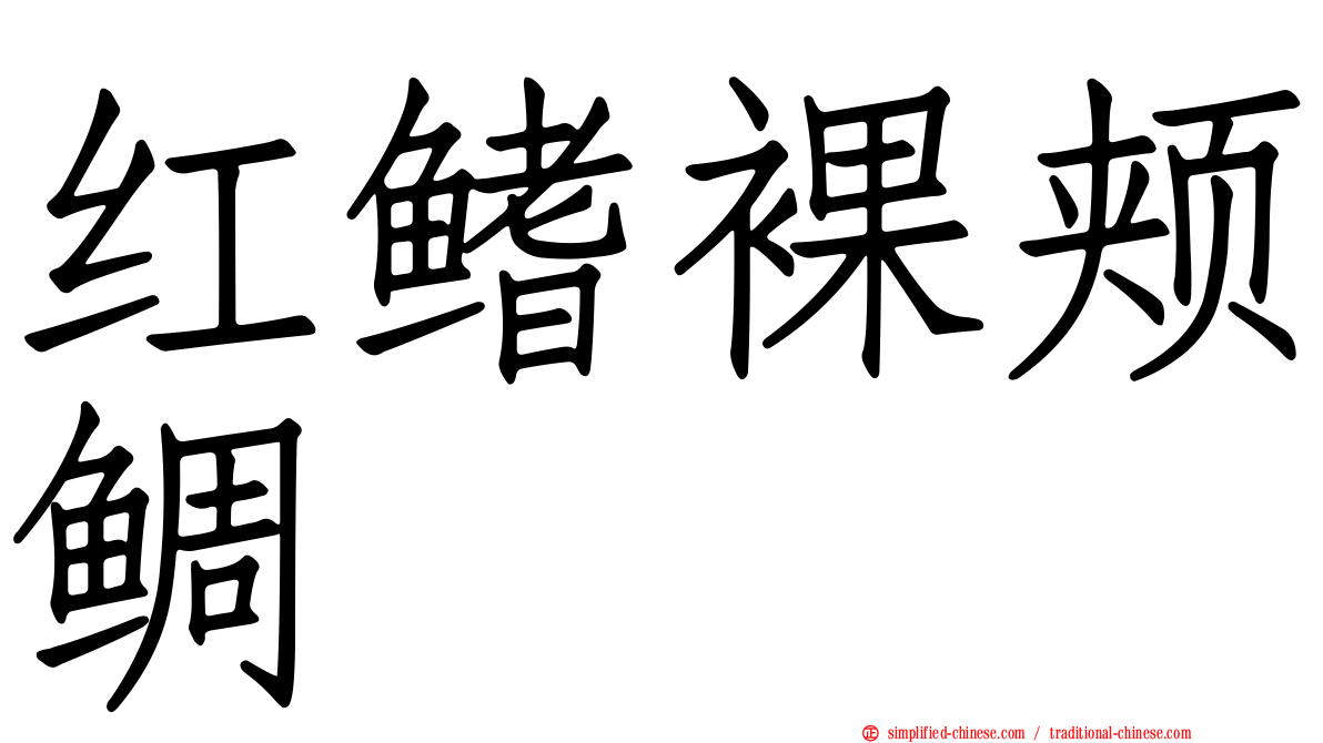红鳍裸颊鲷
