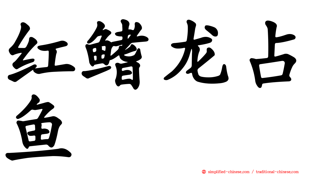红鳍龙占鱼