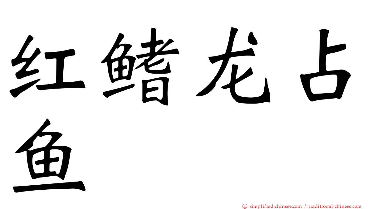 红鳍龙占鱼