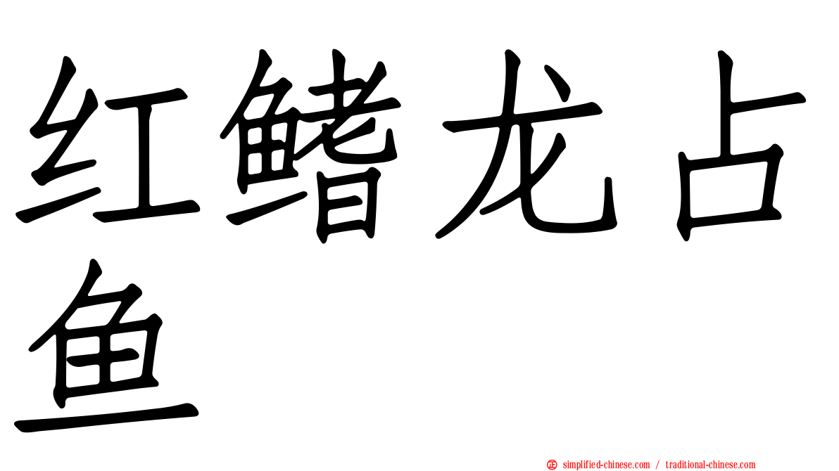 红鳍龙占鱼