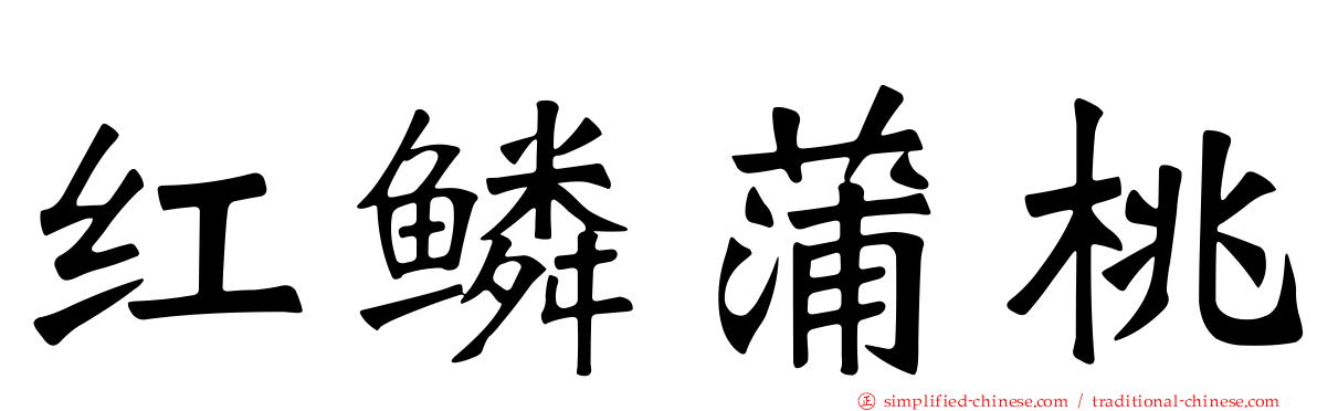红鳞蒲桃