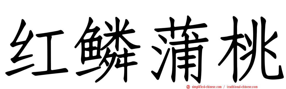 红鳞蒲桃
