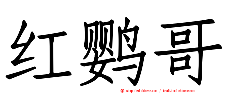 红鹦哥