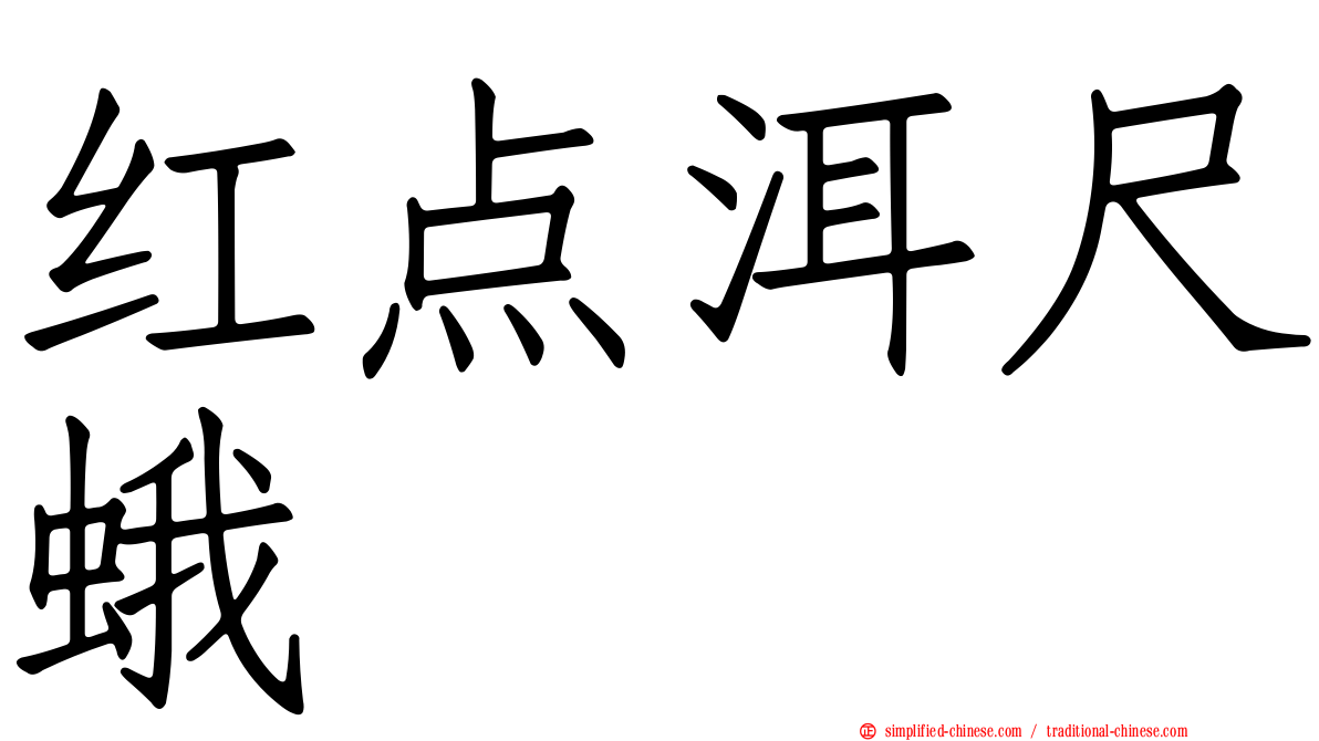 红点洱尺蛾