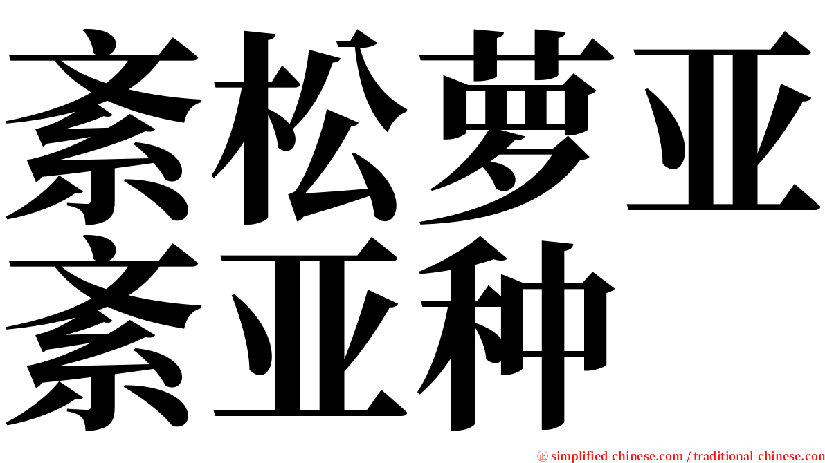 紊松萝亚紊亚种 serif font
