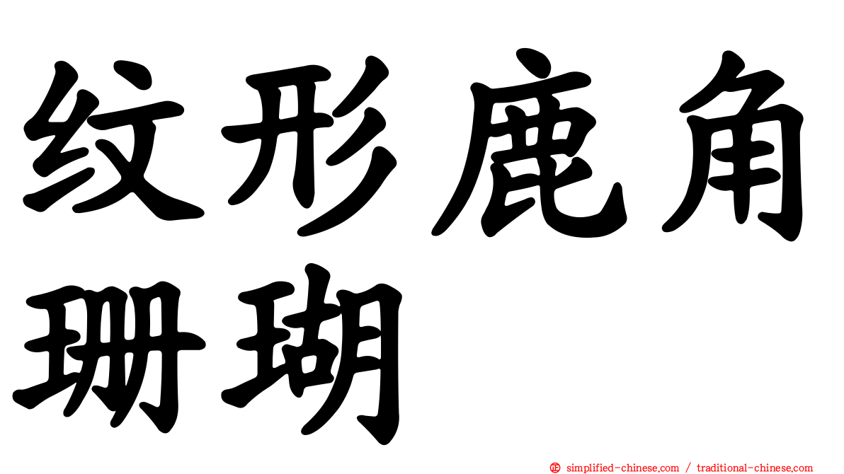纹形鹿角珊瑚