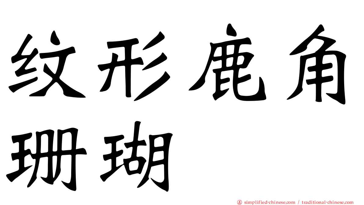 纹形鹿角珊瑚