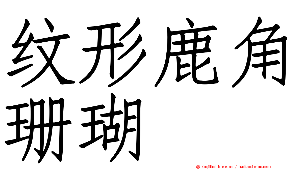 纹形鹿角珊瑚