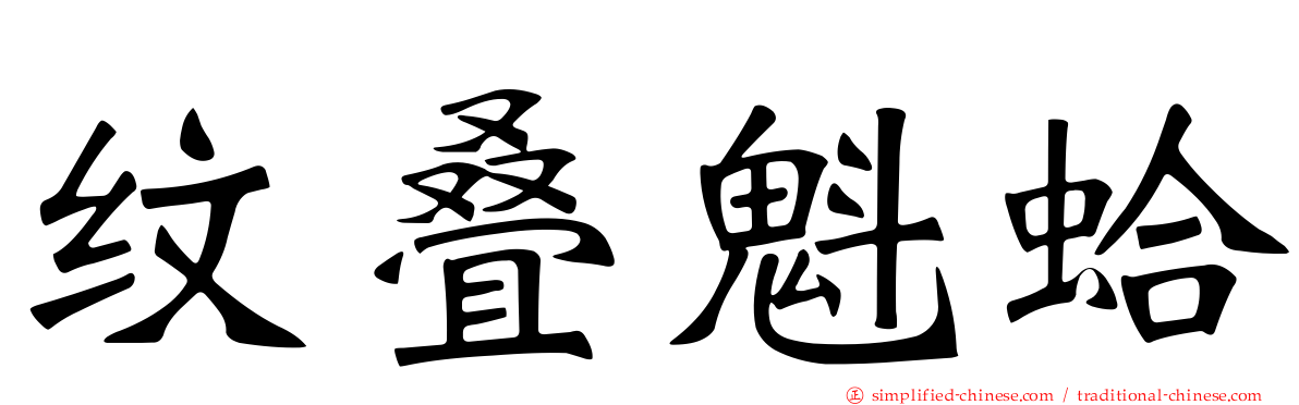 纹叠魁蛤