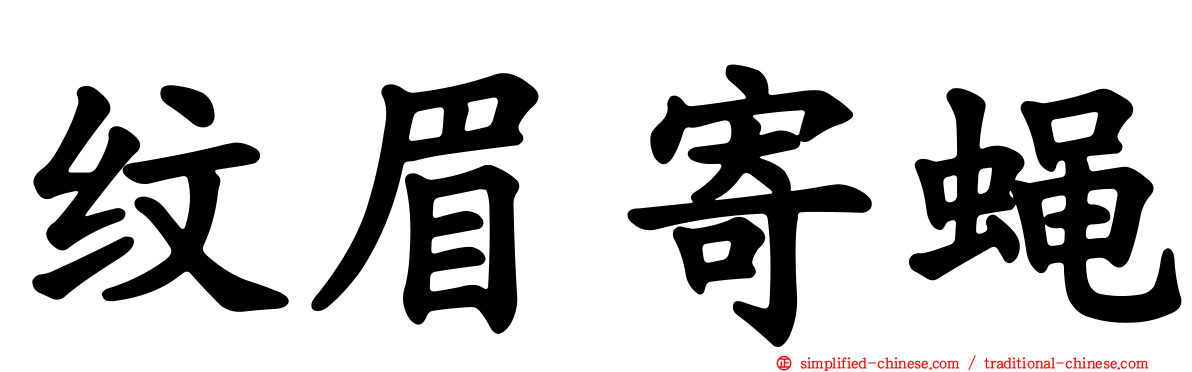纹眉寄蝇