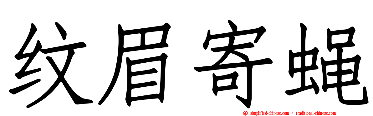 纹眉寄蝇
