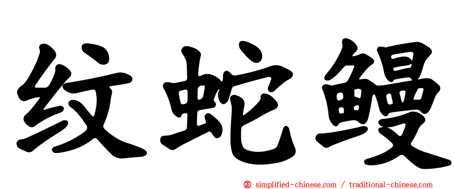 纹蛇鳗
