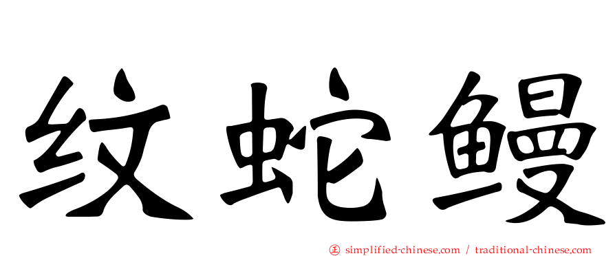 纹蛇鳗