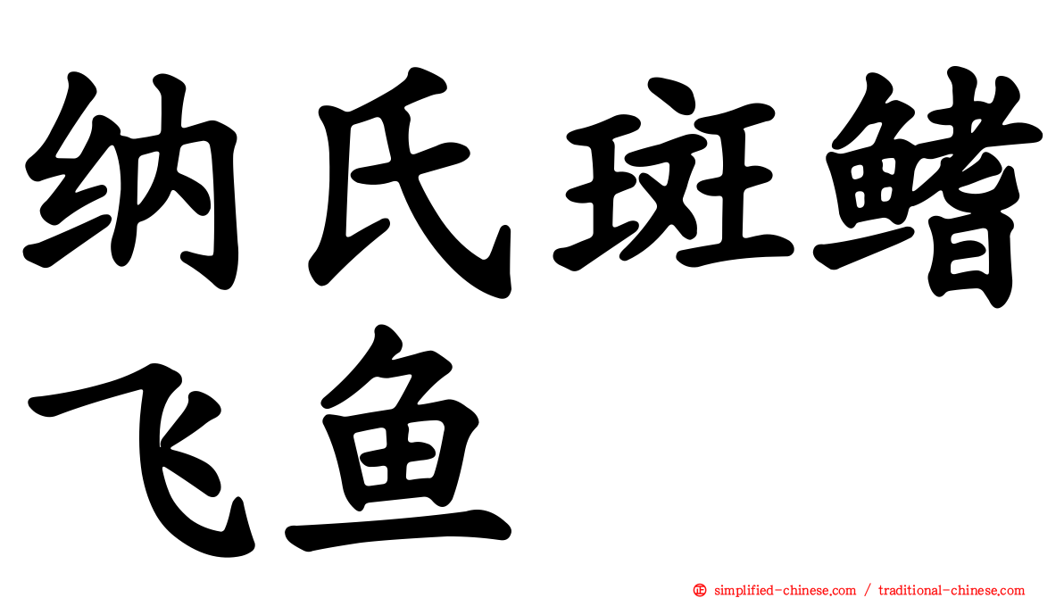 纳氏斑鳍飞鱼