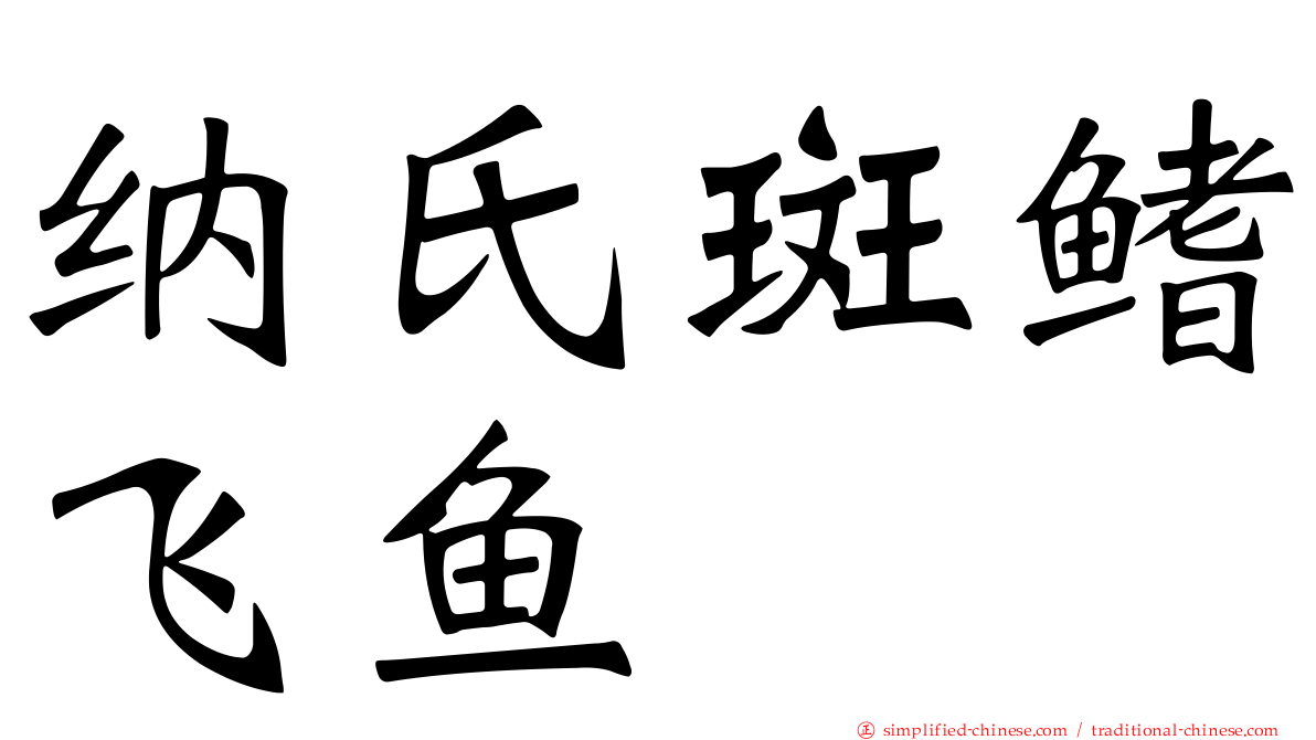 纳氏斑鳍飞鱼