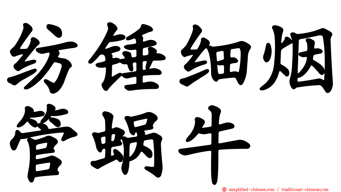 纺锤细烟管蜗牛