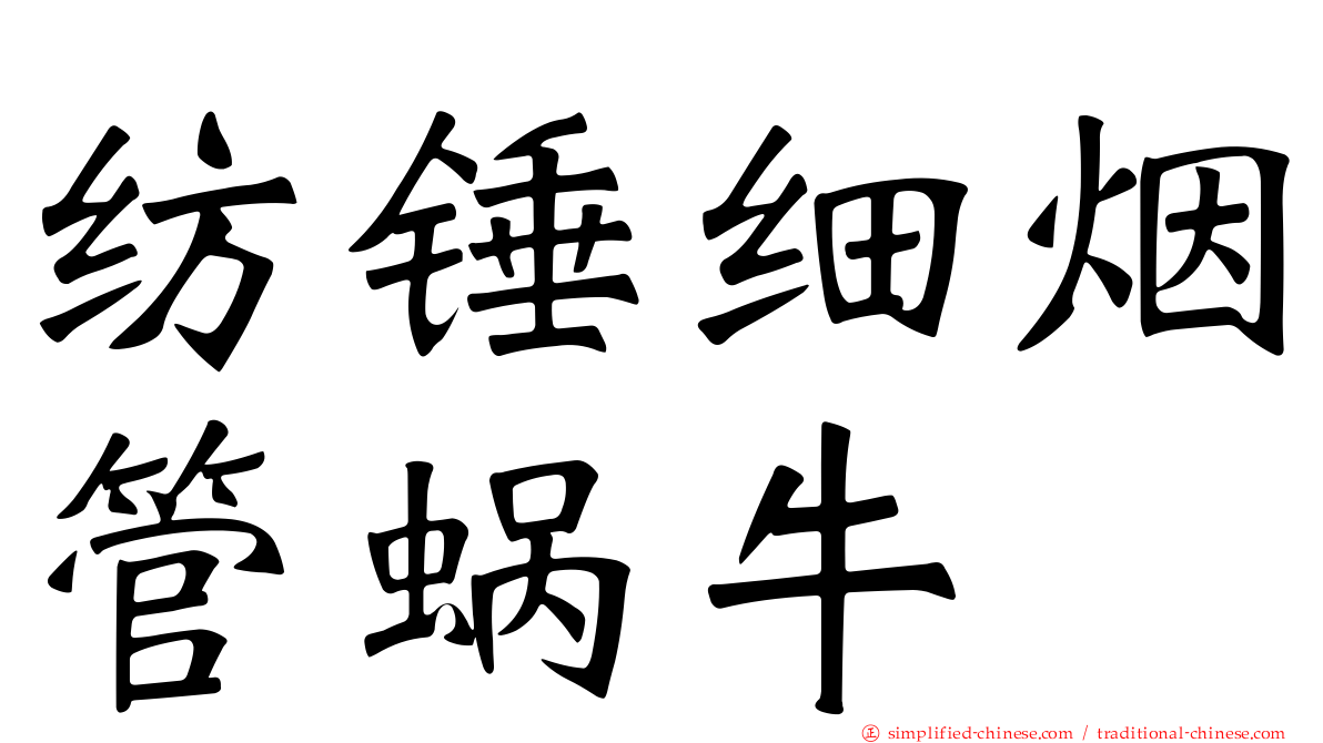 纺锤细烟管蜗牛