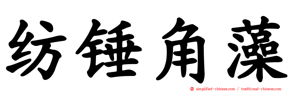 纺锤角藻