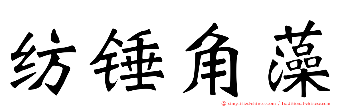 纺锤角藻