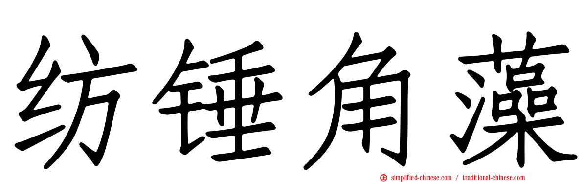 纺锤角藻