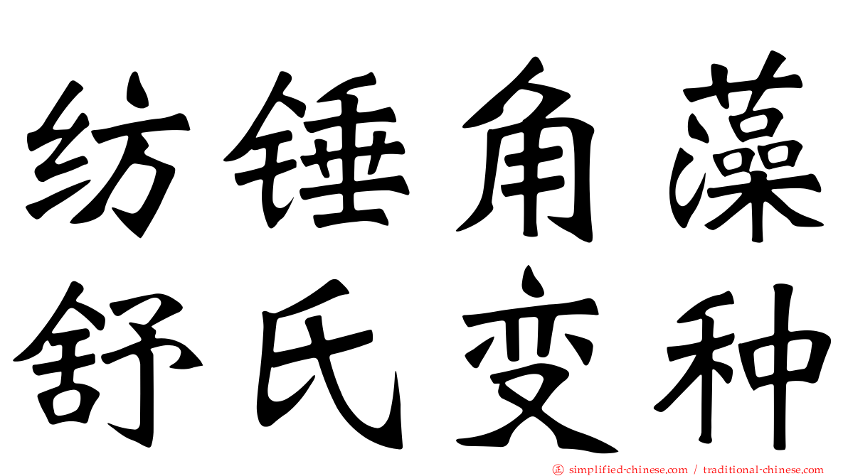 纺锤角藻舒氏变种