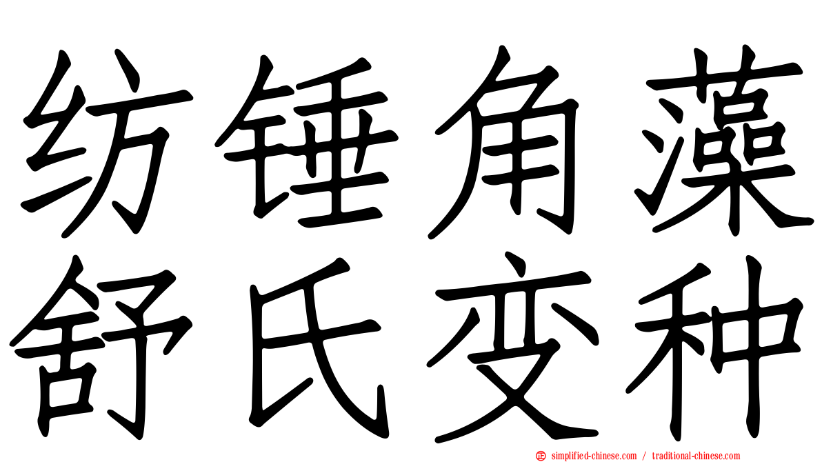 纺锤角藻舒氏变种