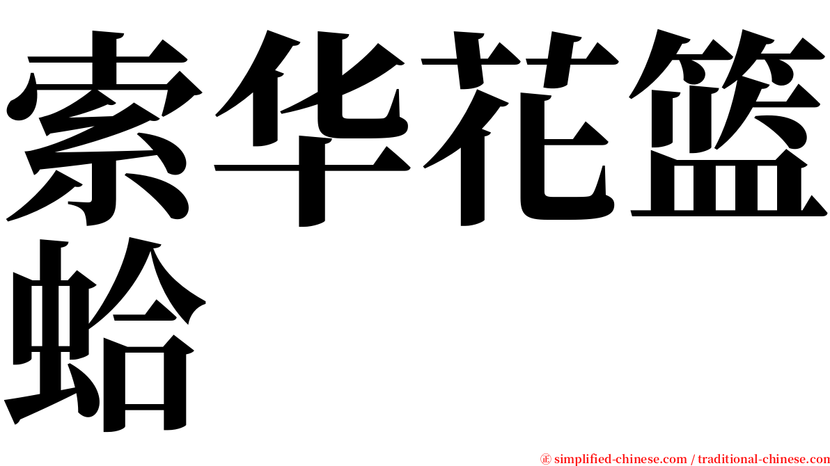 索华花篮蛤 serif font