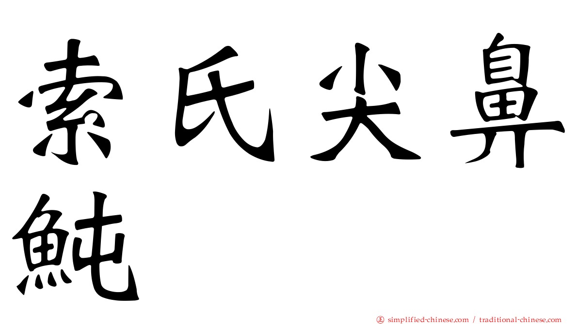 索氏尖鼻鲀
