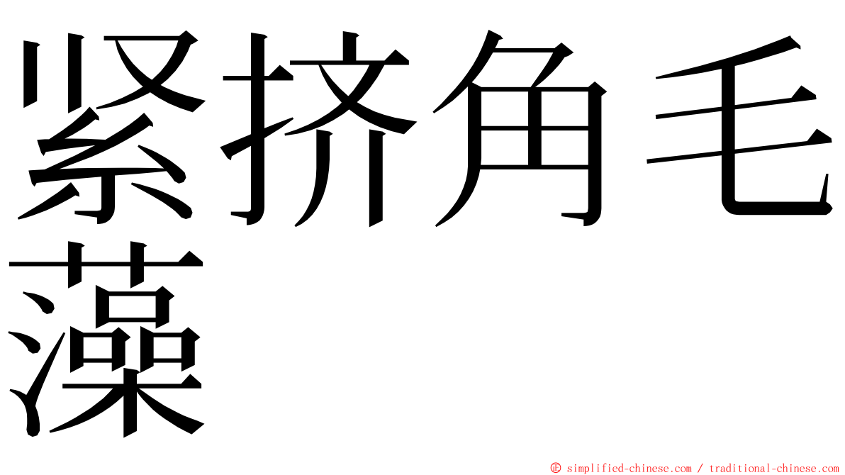 紧挤角毛藻 ming font