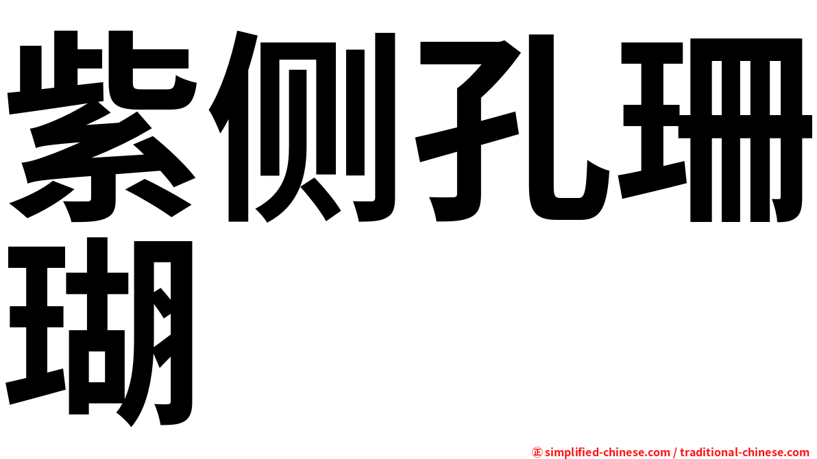 紫侧孔珊瑚