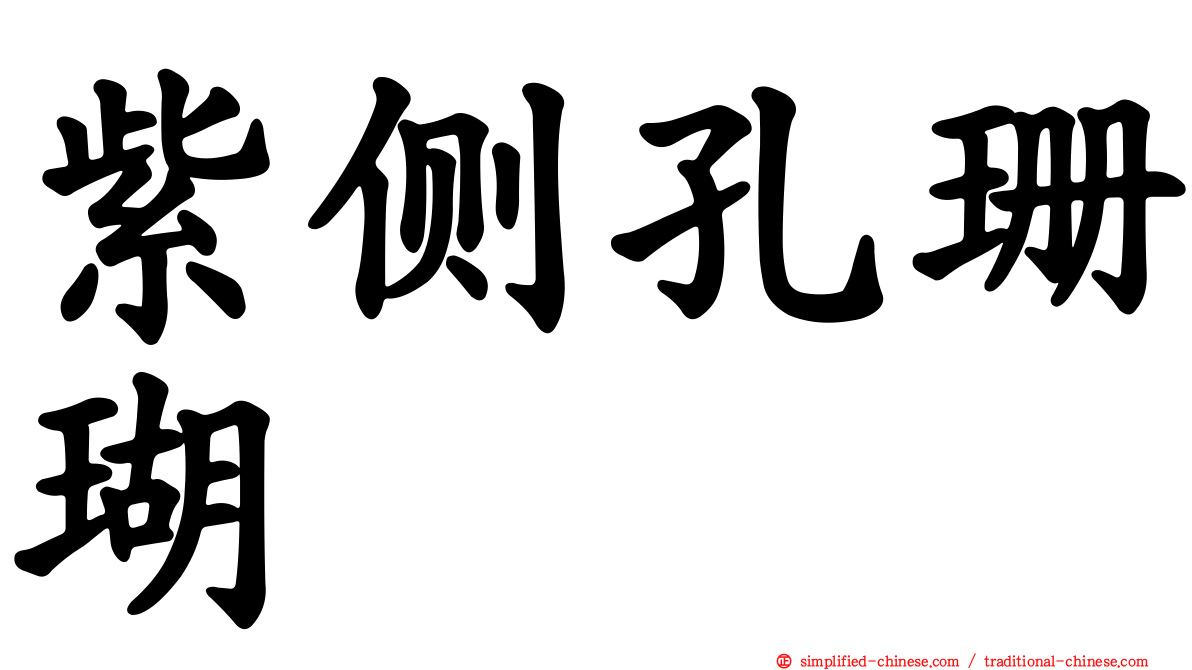 紫侧孔珊瑚