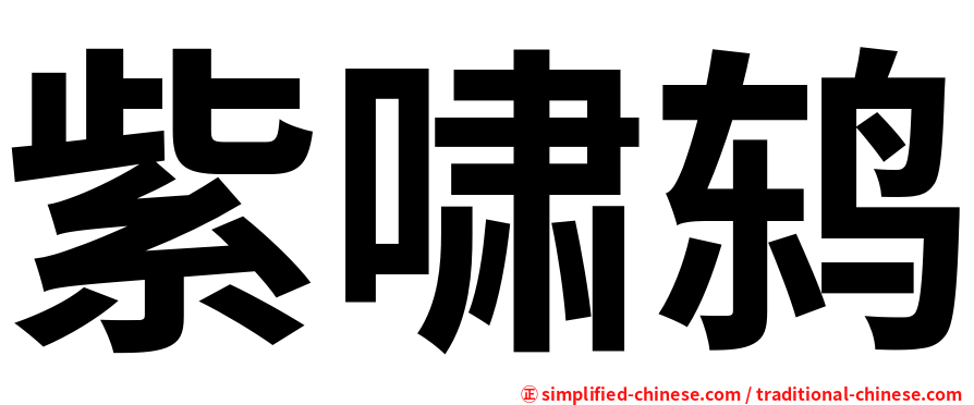 紫啸鸫