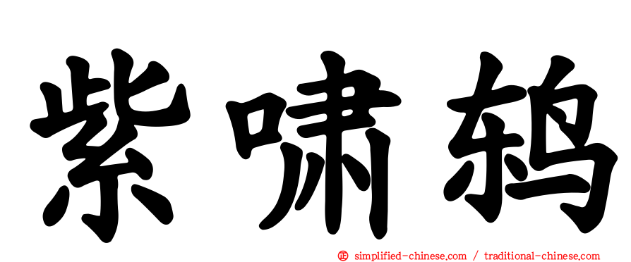 紫啸鸫