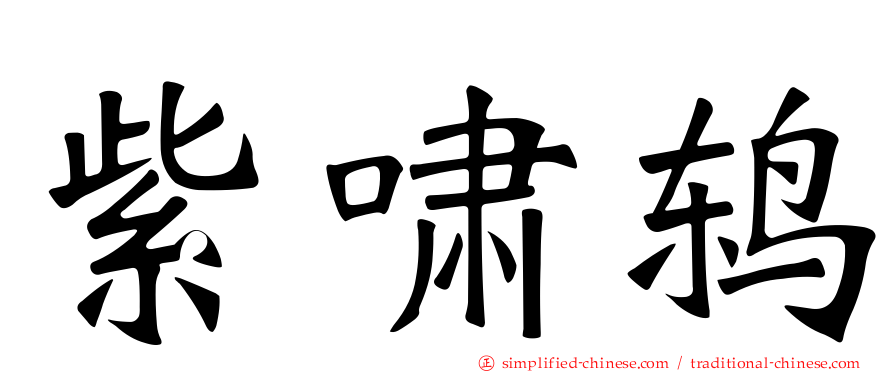 紫啸鸫