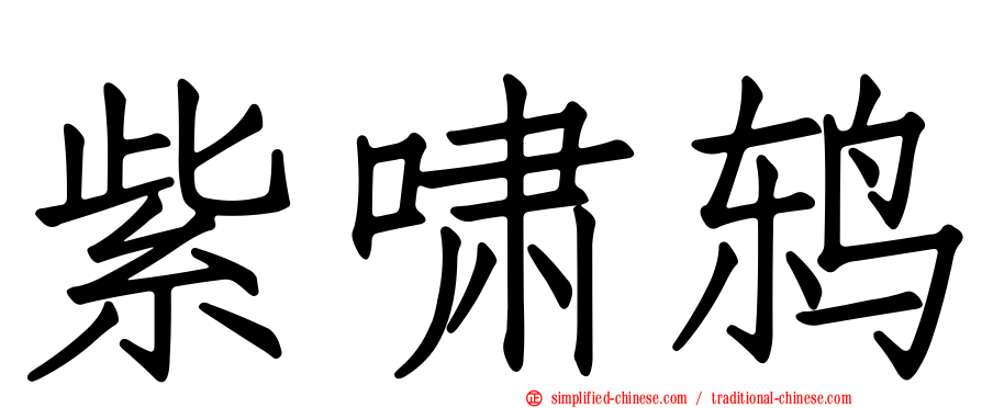 紫啸鸫