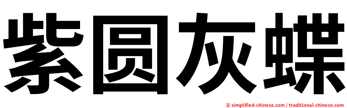 紫圆灰蝶