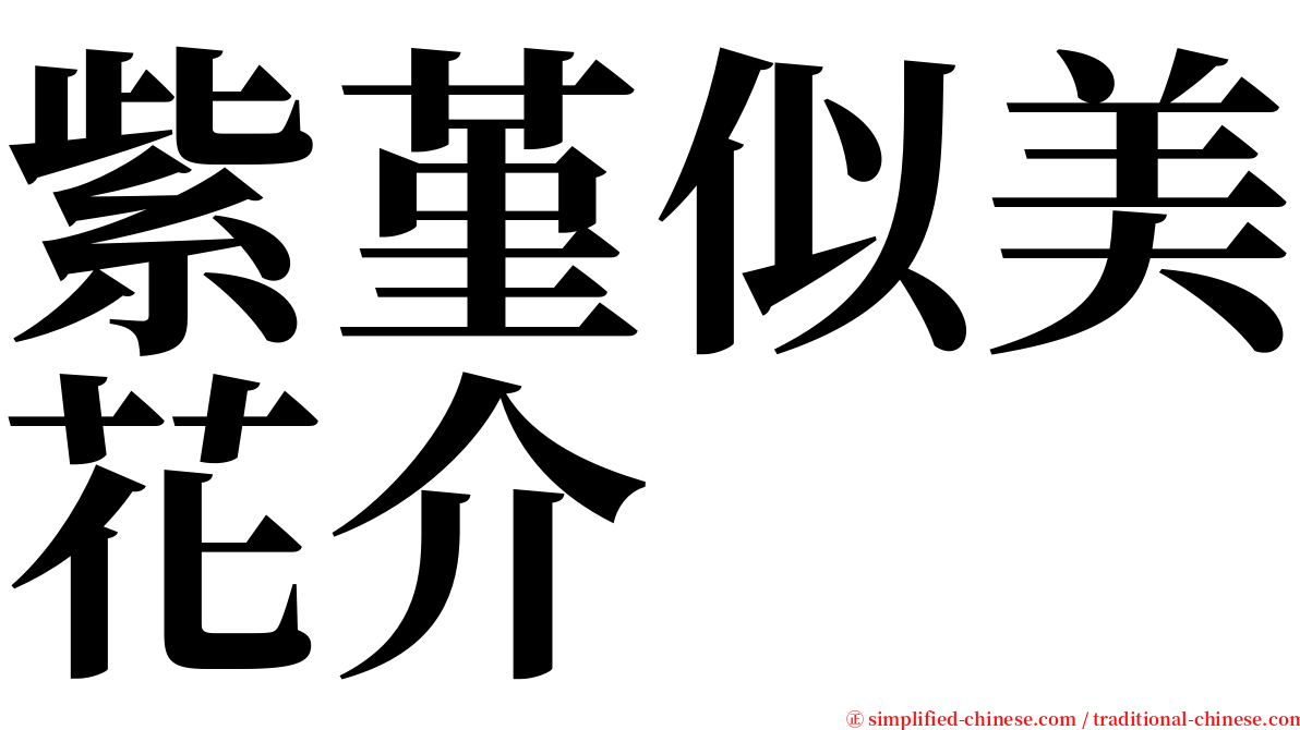 紫堇似美花介 serif font